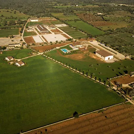 Farm stay Vmg Horse Ranch (adults Only)