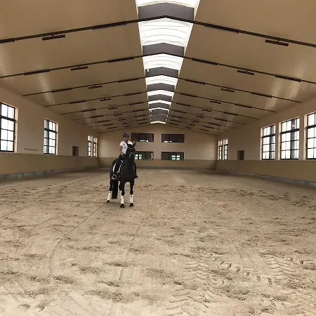 Vmg Horse Ranch (adults Only) Farm stay