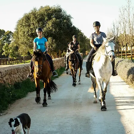 Vmg Horse Ranch (adults Only) Farm stay Llucmajor (Mallorca)