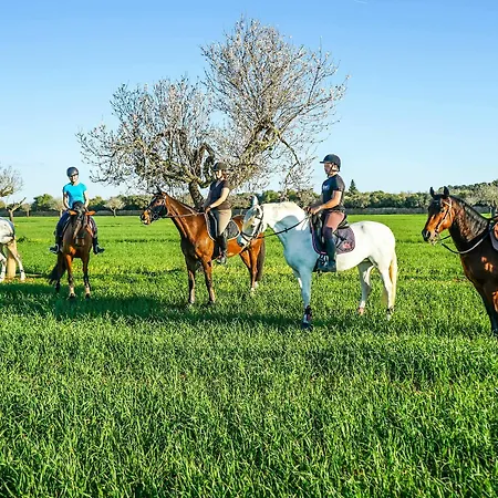 Vmg Horse Ranch (adults Only) * Llucmajor (Mallorca)