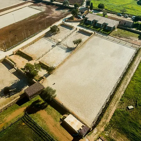Vmg Horse Ranch (adults Only) *